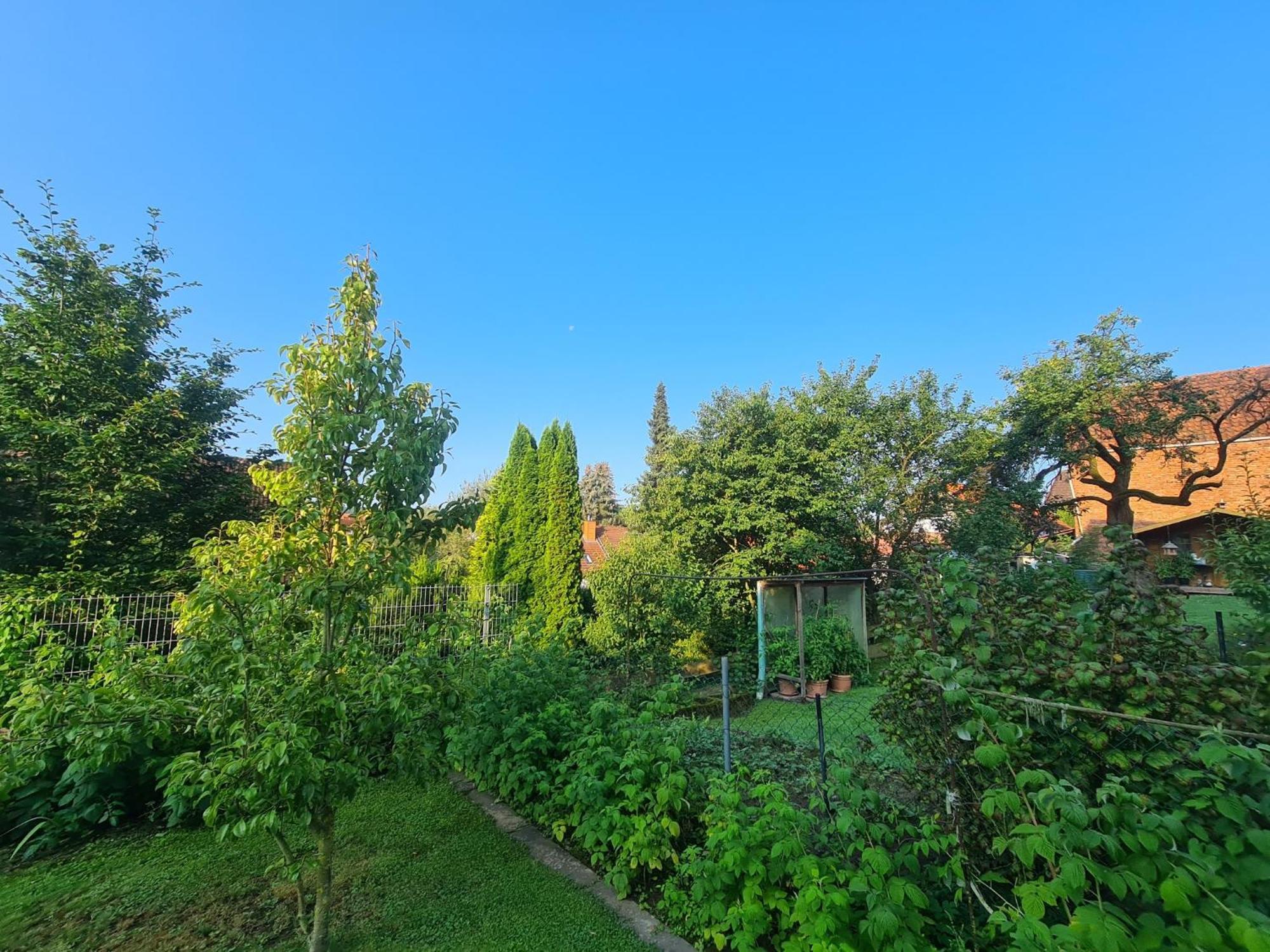 Suedharzperle Apartment Bad Lauterberg Luaran gambar